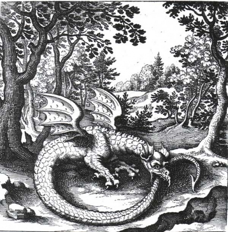 Ouroboros 1 dragon