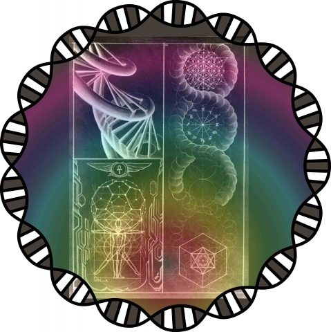 dna ring design lr