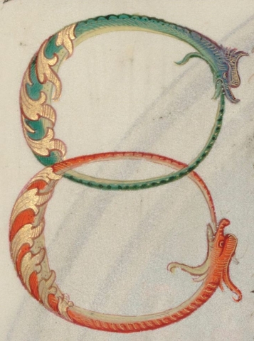 double ouroboros